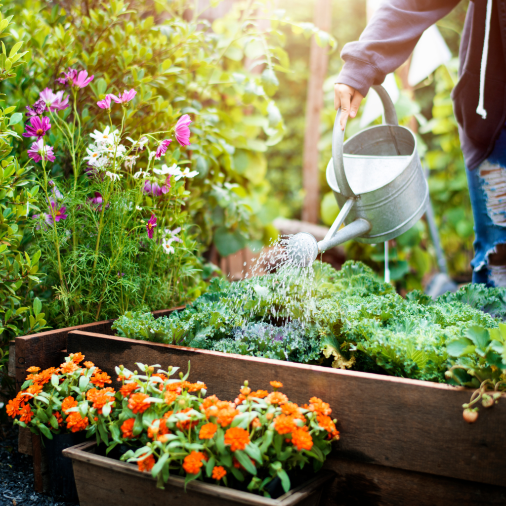 LAWN & GARDEN​​